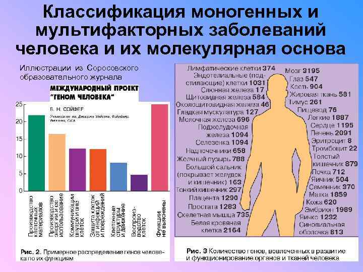 Моногенные заболевания картинки