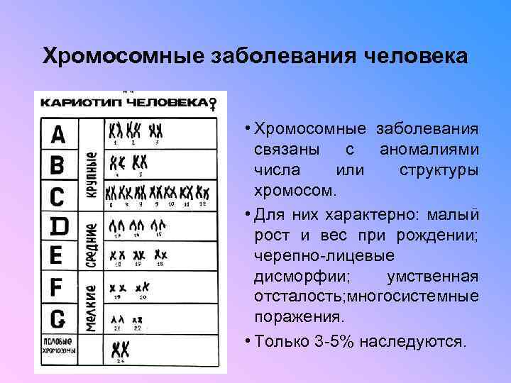 Хромосомные заболевания человека • Хромосомные заболевания связаны с аномалиями числа или структуры хромосом. •