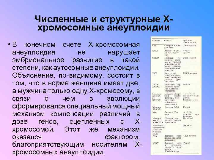 Численные и структурные Xхромосомные анеуплоидии • В конечном счете Х-хромосомная анеуплоидия не нарушает эмбриональное