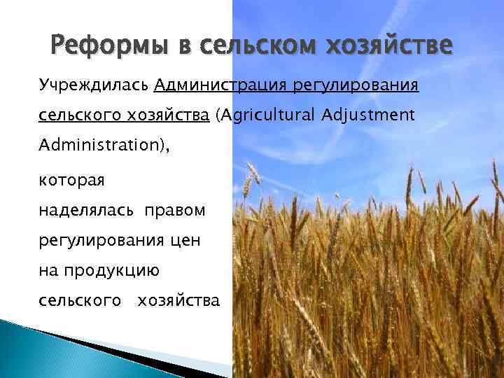 Реформы в сельском хозяйстве Учреждилась Администрация регулирования сельского хозяйства (Agricultural Adjustment Administration), которая наделялась
