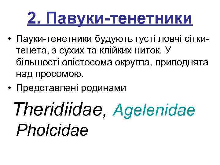  2. Павуки-тенетники • Пауки-тенетники будують густі ловчі сітки- тенета, з сухих та клійких