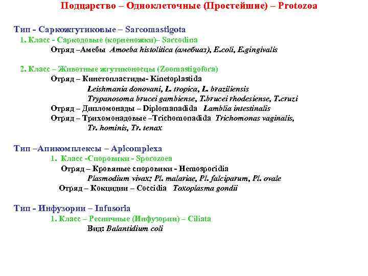 Подцарство – Одноклеточные (Простейшие) – Protozoa Тип - Саркожгутиковые – Sarcomastigota 1. Класс -