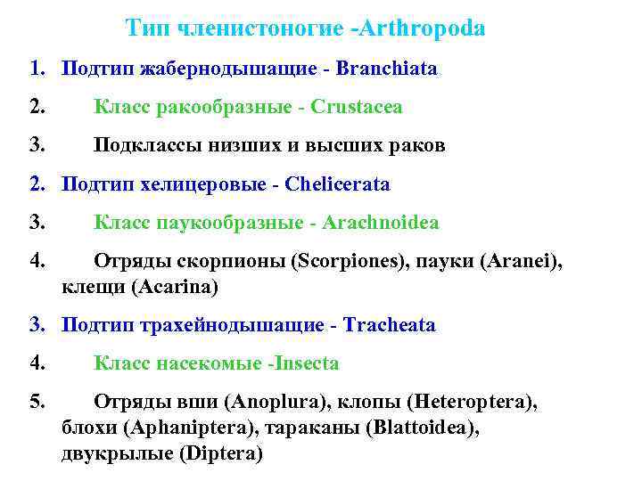 Тип членистоногие -Arthropoda 1. Подтип жабернодышащие - Branchiata 2. Класс ракообразные - Crustacea 3.