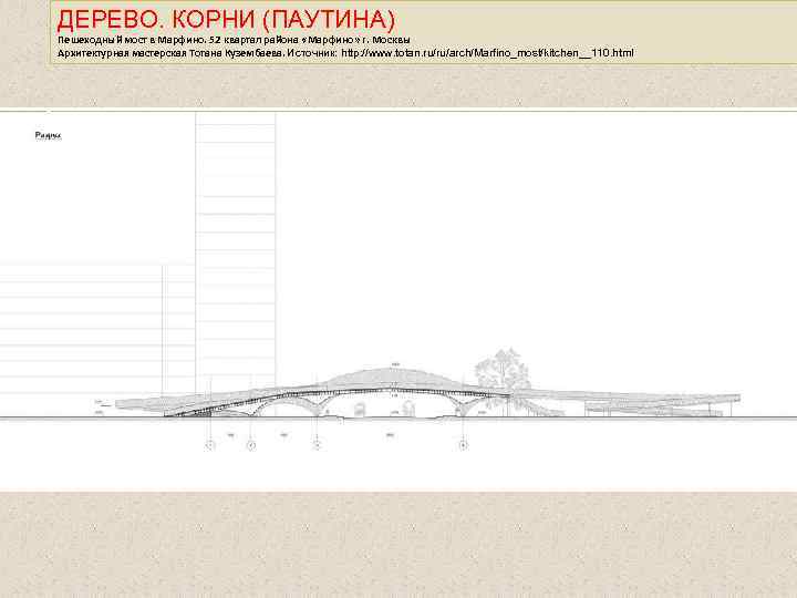 ДЕРЕВО. КОРНИ (ПАУТИНА) Пешеходный мост в Марфино. 52 квартал района «Марфино» г. Москвы Архитектурная