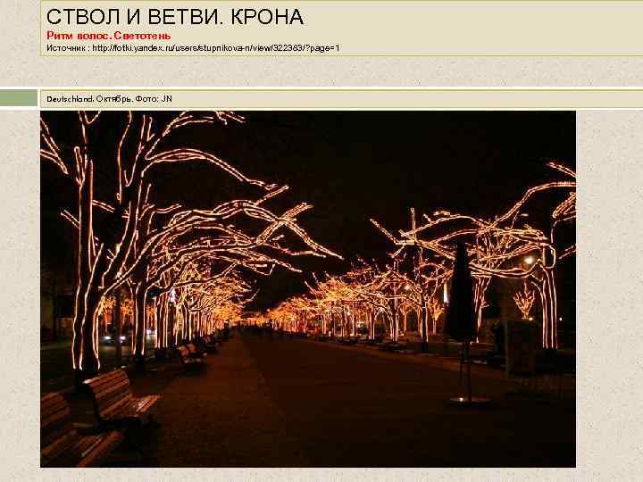 СТВОЛ И ВЕТВИ. КРОНА Ритм полос. Светотень Источник : http: //fotki. yandex. ru/users/stupnikova-n/view/322383/? page=1