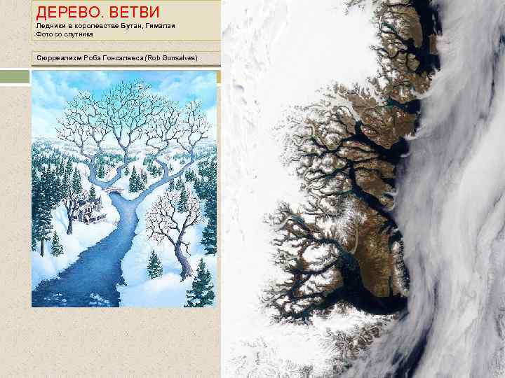 ДЕРЕВО. ВЕТВИ Ледники в королевстве Бутан, Гималаи Фото со спутника Сюрреализм Роба Гонсалвеса (Rob