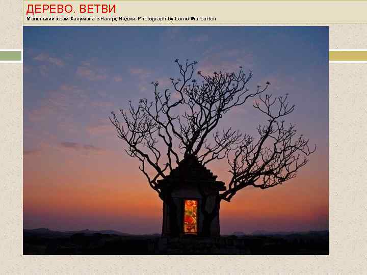 ДЕРЕВО. ВЕТВИ Маленький храм Ханумана в Hampi, Индия. Photograph by Lorne Warburton 