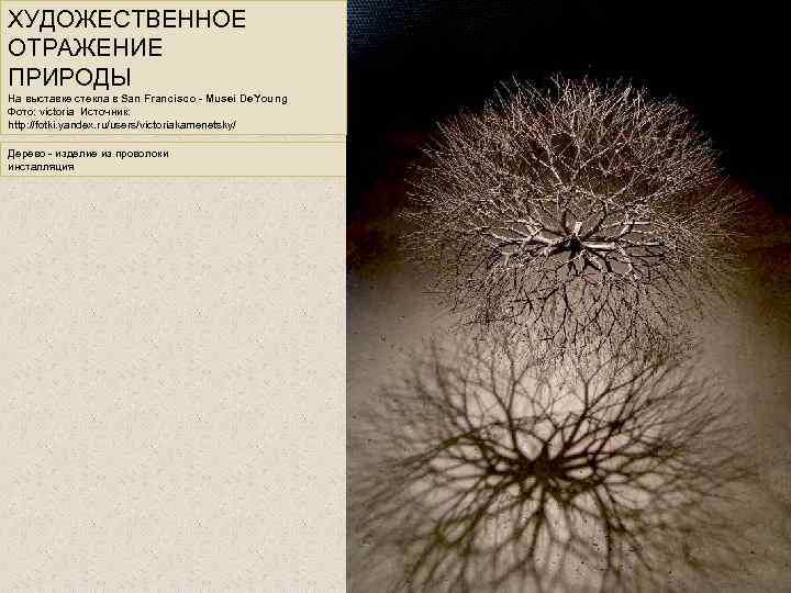 ХУДОЖЕСТВЕННОЕ ОТРАЖЕНИЕ ПРИРОДЫ На выставке стекла в San Francisco - Musei De. Young Фото: