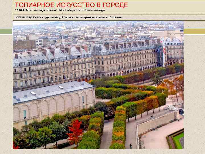 ТОПИАРНОЕ ИСКУССТВО В ГОРОДЕ ПАРИЖ. Фото: s-s-nega Источник: http: //fotki. yandex. ru/users/s-s-nega/ «ОСЕННИЕ ДОРОЖКИ