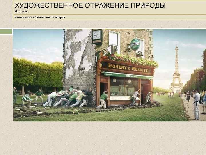 ХУДОЖЕСТВЕННОЕ ОТРАЖЕНИЕ ПРИРОДЫ Источник: Кевин Гриффин (Kevin Griffin) - фотограф 
