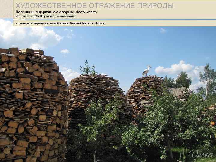 ХУДОЖЕСТВЕННОЕ ОТРАЖЕНИЕ ПРИРОДЫ Поленицы в церковном дворике. Фото: veerra Источник: http: //fotki. yandex. ru/users/veerra/