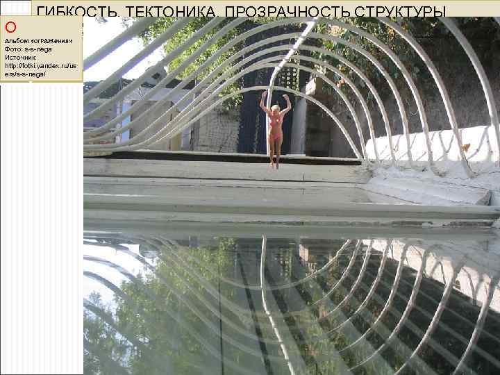 О ГИБКОСТЬ. ТЕКТОНИКА. ПРОЗРАЧНОСТЬ СТРУКТУРЫ Хорватия. «ПАЛЬМОВАЯ ПСИХОДЕЛИКА. . . » Фото: s-s-nega. Источник: