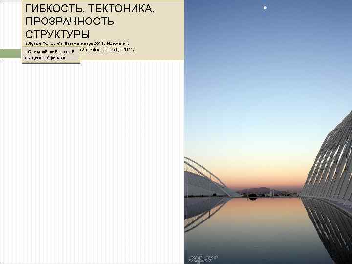 ГИБКОСТЬ. ТЕКТОНИКА. ПРОЗРАЧНОСТЬ СТРУКТУРЫ Хорватия. «ПАЛЬМОВАЯ ПСИХОДЕЛИКА. . . » Фото: s-s-nega. Источник: http: