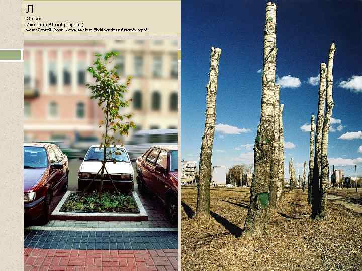 Л Оазис Икебана-Street (справа) Фото: Сергей Кропп. Источник: http: //fotki. yandex. ru/users/skropp/ 