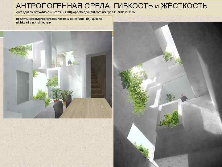 АНТРОПОГЕННАЯ СРЕДА. ГИБКОСТЬ и ЖЁСТКОСТЬ Дом-дерево. www. hao. nu. Источник: http: //photo. djournal. com.