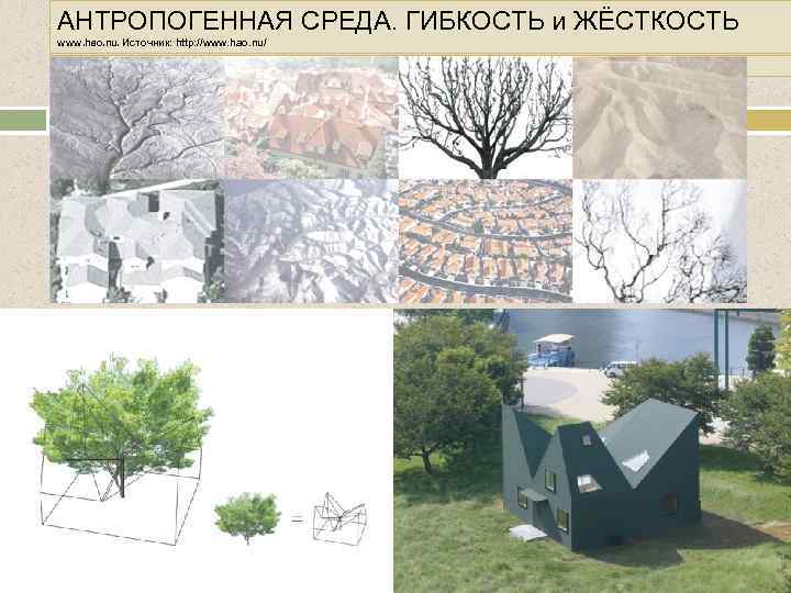 АНТРОПОГЕННАЯ СРЕДА. ГИБКОСТЬ и ЖЁСТКОСТЬ www. hao. nu. Источник: http: //www. hao. nu/. 