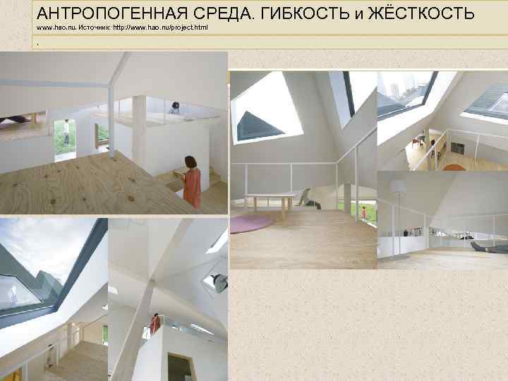 АНТРОПОГЕННАЯ СРЕДА. ГИБКОСТЬ и ЖЁСТКОСТЬ www. hao. nu. Источник: http: //www. hao. nu/project. html.
