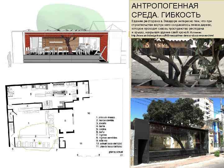 АНТРОПОГЕННАЯ СРЕДА. ГИБКОСТЬ Здание ресторана в Эквадоре интересно тем, что при строительстве внутри него