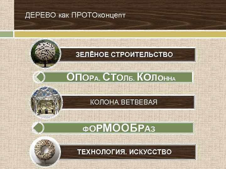 ДЕРЕВО как ПРОТОконцепт ЗЕЛЁНОЕ СТРОИТЕЛЬСТВО ОПОРА. СТОЛБ. КОЛОННА КОЛОНА ВЕТВЕВАЯ ФОРМООБРАЗ ТЕХНОЛОГИЯ. ИСКУССТВО 
