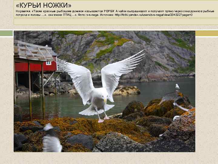  «КУРЬИ НОЖКИ» Норвегия. «Такие красные рыбацкие домики называются РОРБУ. А чайки выпрашивают и