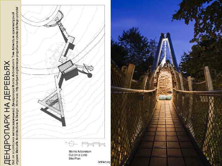 Out on a Limb ( «на ветках деревьев» ). Дендропарк Morris Arboretum’s Tree Adventure