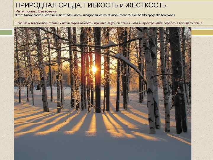 ПРИРОДНАЯ СРЕДА. ГИБКОСТЬ и ЖЁСТКОСТЬ Ритм полос. Светотень Фото: lyubov-henson. Источник: http: //fotki. yandex.