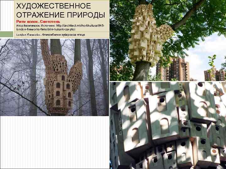 ХУДОЖЕСТВЕННОЕ ОТРАЖЕНИЕ ПРИРОДЫ Ритм полос. Светотень Игор Василевски. Источник: http: //architect. mk/hortikultura/845 london-fireworks-fleksibilni-kukarki-za-ptici London