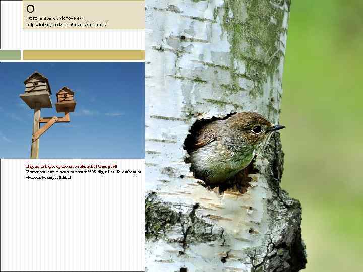 О Фото: entomor. Источник: http: //fotki. yandex. ru/users/entomor/ Digital art, фотоработы от Benedict Campbell