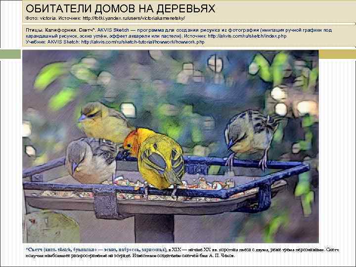 ОБИТАТЕЛИ ДОМОВ НА ДЕРЕВЬЯХ Фото: victoria. Источник: http: //fotki. yandex. ru/users/victoriakamenetsky/ Птицы. Калифорния. Скетч*.