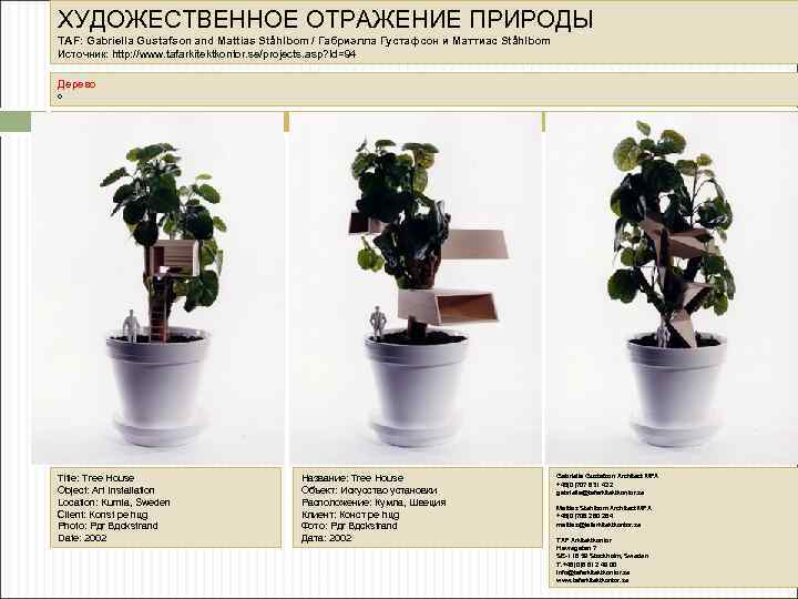 ХУДОЖЕСТВЕННОЕ ОТРАЖЕНИЕ ПРИРОДЫ TAF: Gabriella Gustafson and Mattias Ståhlbom / Габриэлла Густафсон и Маттиас