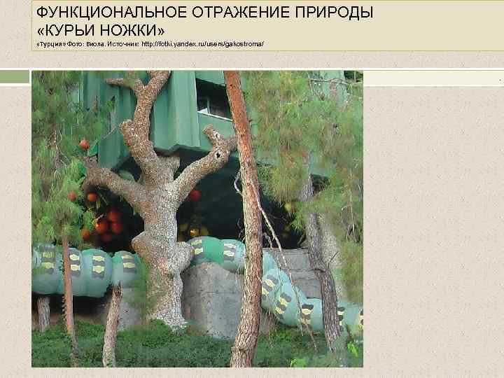 ФУНКЦИОНАЛЬНОЕ ОТРАЖЕНИЕ ПРИРОДЫ «КУРЬИ НОЖКИ» «Турция» Фото: Виола. Источник: http: //fotki. yandex. ru/users/gakostroma/ .