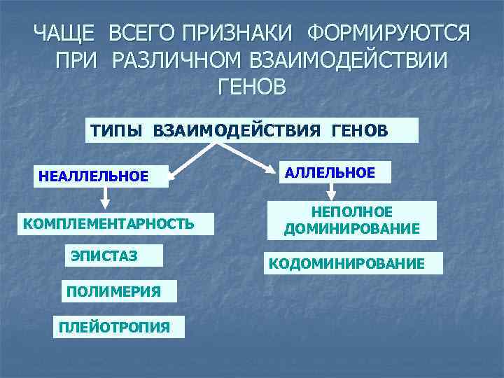 ЧАЩЕ ВСЕГО ПРИЗНАКИ ФОРМИРУЮТСЯ ПРИ РАЗЛИЧНОМ ВЗАИМОДЕЙСТВИИ ГЕНОВ ТИПЫ ВЗАИМОДЕЙСТВИЯ ГЕНОВ НЕАЛЛЕЛЬНОЕ КОМПЛЕМЕНТАРНОСТЬ ЭПИСТАЗ