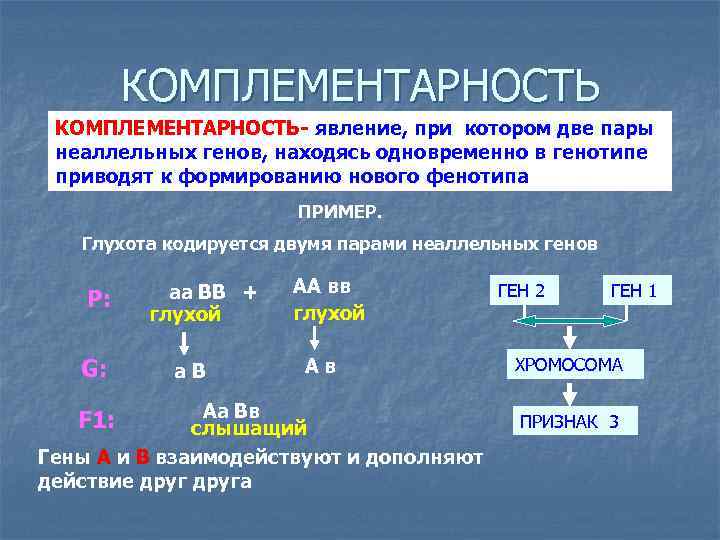 КОМПЛЕМЕНТАРНОСТЬ- явление, при котором две пары неаллельных генов, находясь одновременно в генотипе приводят к