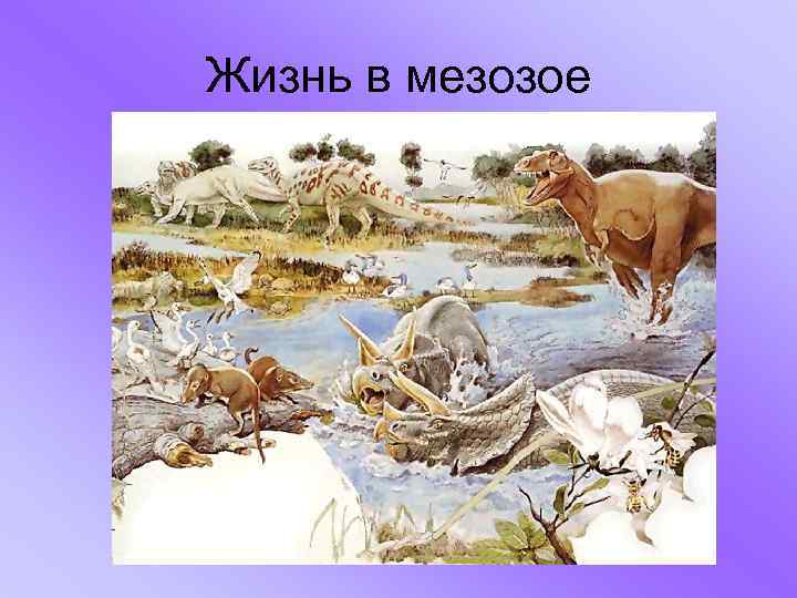 Жизнь в мезозое 