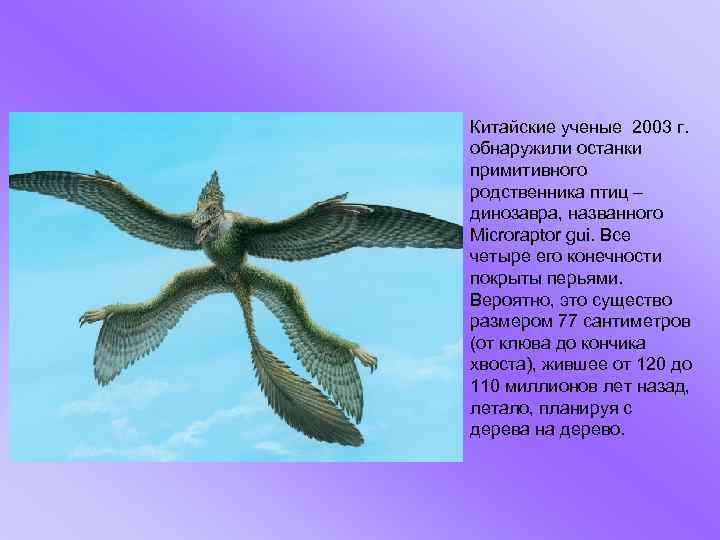 Китайские ученые 2003 г. обнаружили останки примитивного родственника птиц – динозавра, названного Microraptor gui.