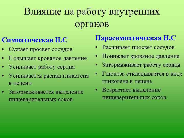 Влияние на работу внутренних органов Симпатическая Н. С Парасимпатическая Н. С • • Расширяет