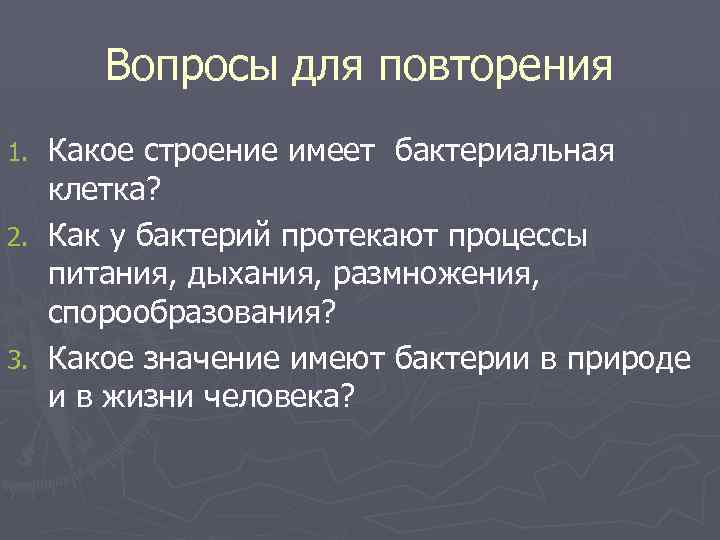 Вопросы для повторения Какое строение имеет бактериальная клетка? 2. Как у бактерий протекают процессы