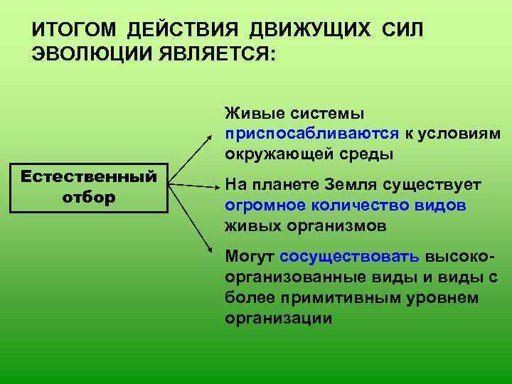 Движущая сила эволюции стремление к прогрессу