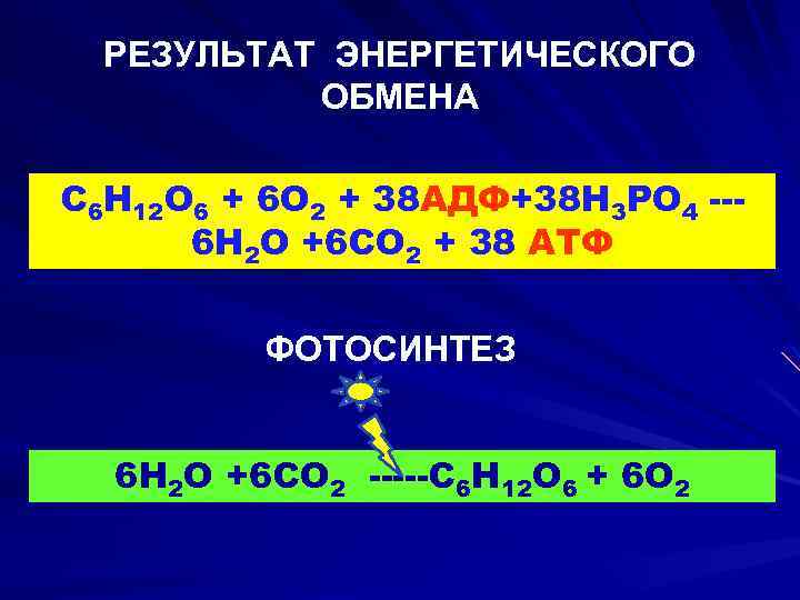 РЕЗУЛЬТАТ ЭНЕРГЕТИЧЕСКОГО ОБМЕНА С 6 Н 12 О 6 + 6 О 2 +