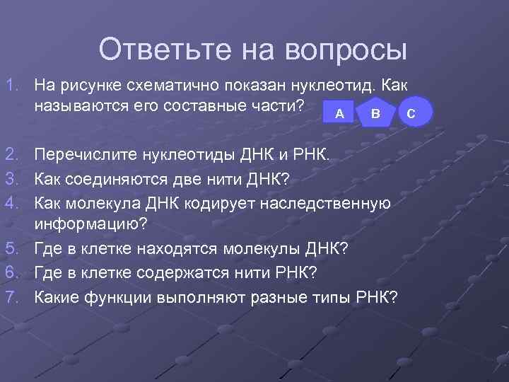   Ответьте на вопросы 1. На рисунке схематично показан нуклеотид. Как  называются