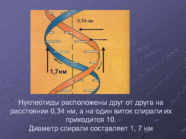     0, 34 нм    1, 7 нм 