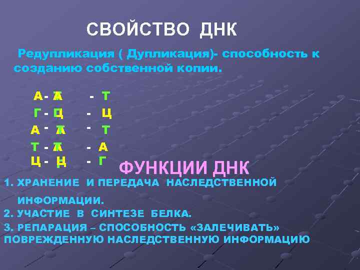    СВОЙСТВО ДНК  Редупликация ( Дупликация)- способность к созданию собственной копии.