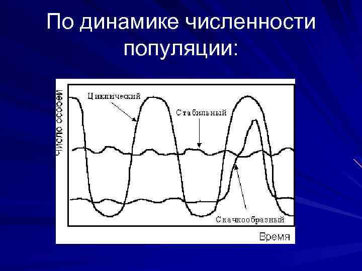 По динамике численности популяции: 