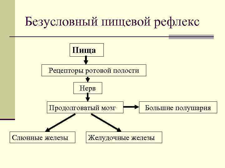 Безусловный пищевой рефлекс Пища Рецепторы ротовой полости Нерв Продолговатый мозг Слюнные железы Большие полушария