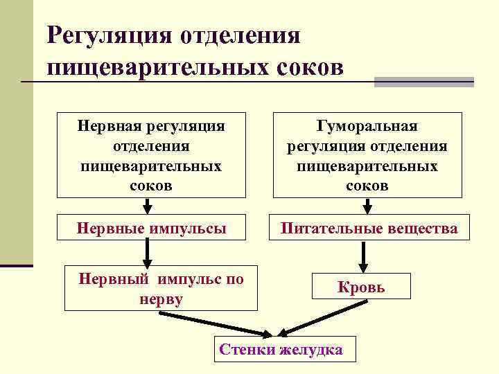 Регуляция нервная и гуморальная схема