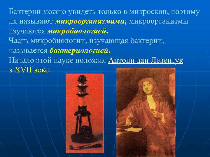 Бактерии можно увидеть только в микроскоп, поэтому их называют микроорганизмами, микроорганизмы изучаются микробиологией. Часть