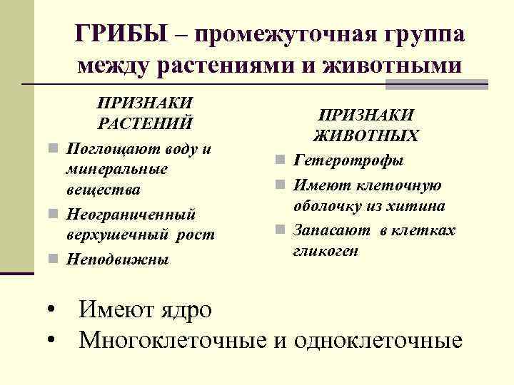 ГРИБЫ – промежуточная группа между растениями и животными ПРИЗНАКИ РАСТЕНИЙ n Поглощают воду и