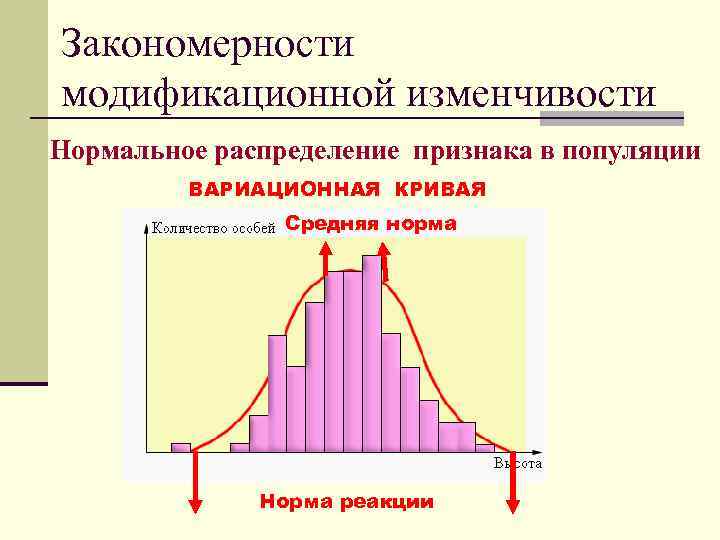 Закономерности модификационной изменчивости Нормальное распределение признака в популяции ВАРИАЦИОННАЯ КРИВАЯ Средняя норма Норма реакции