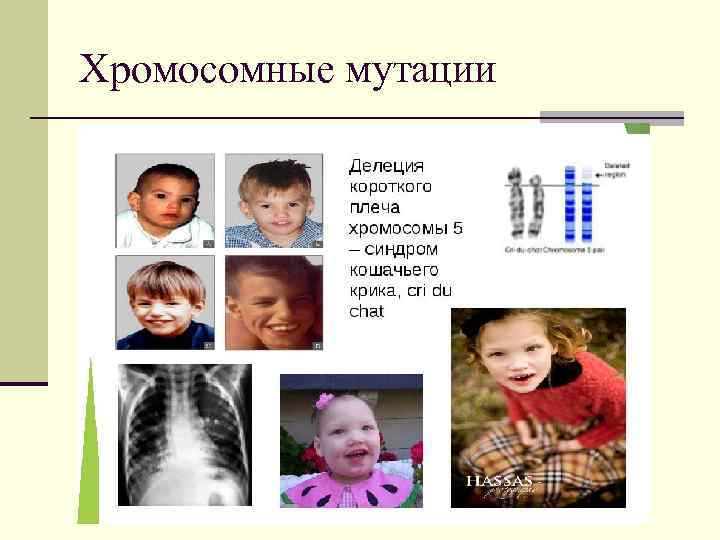 Хромосомные мутации 