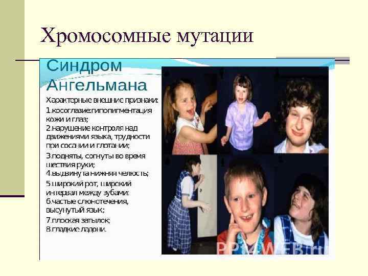 Хромосомные мутации 